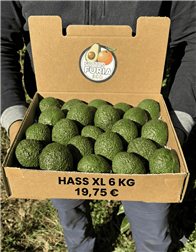6 Kg Aguacate Hass XL  (4–9 Unidades por Kg)