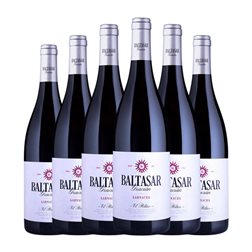 San Alejandro Baltasar Gracián El Político Garnacha Calatayud Joven 75 cl Vino Tinto (Caja de 6 unidades)