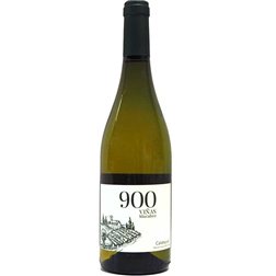 900 Viñas Macabeo