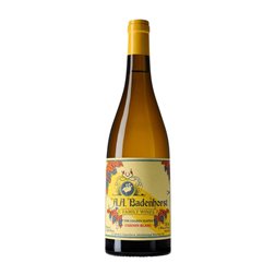 A.A. Badenhorst The Golden Slopes Chenin Swartland Eco — Ecológico 75 cl Vino Blanco