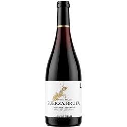 A Pie de Tierra Fuerza Bruta 2024