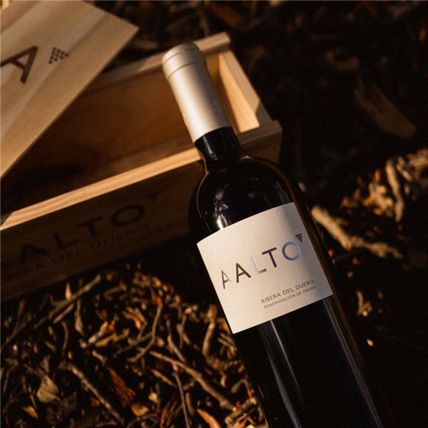 Aalto 2023-lateral