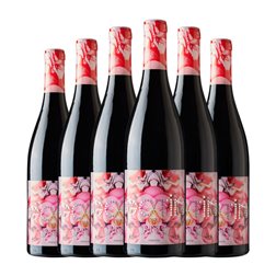 Abad Gotín del Risc Mencía Bierzo 75 cl Vino Tinto (Caja de 6 unidades)