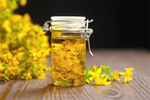 ACEITE DE HIPÉRICO BIO 30ml  Regenerador Cutáneo y Calmante-trasera