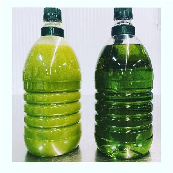 Huile d'olive V.E. ADEOLIVA - primeur 2L-detalle