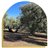 Extra Virgin Olive Oil Blend in PET, Oleum Alcazaba-lateral