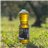 Aceite de oliva virgen extra “Especial Finibus” 1L-lateral
