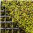 Extra Virgin Olive Oil L'Oli organic Cuadrat Valley-detalle