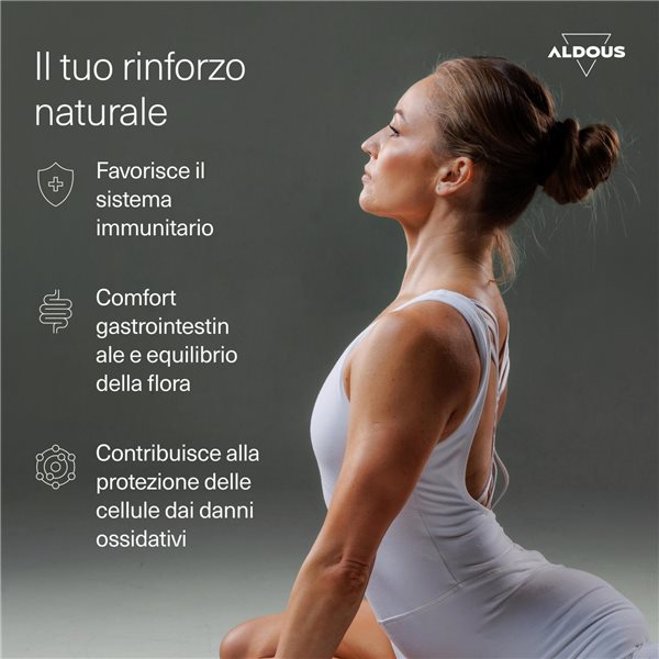 Oregano Oil 200 mg - 160 mg of Carvacrol - 200 Pearls-trasera