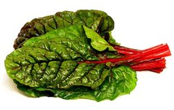 Botte de Blette Rouge