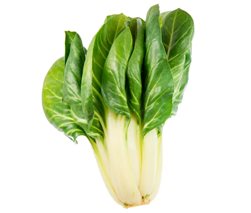 Acelga verde ECO - bouquet