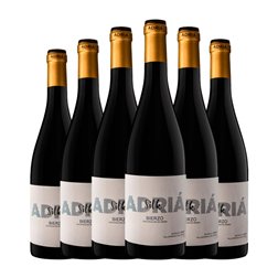 Adriá Silk Mencía Seco Bierzo 75 cl Vino Tinto (Caja de 6 unidades)