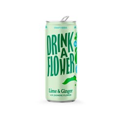 Sparkling Water Infused - Lime and Ginger