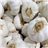Dried garlic-izquierda