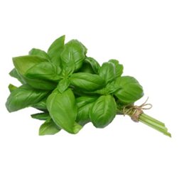 Albahaca manojito (en Verano, solamente enviamos en Comunidad de Madrid)