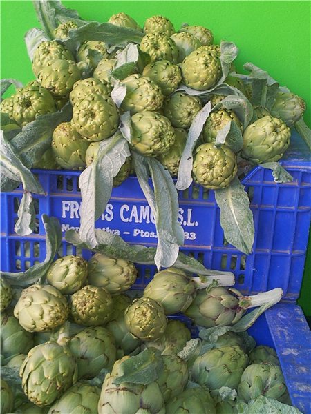 ARTISCHOCKEN 1 STÜCK-detalle