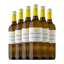 Alceño Ribera del Segura Sauvignon 75 cl Vino Blanco (Caja de 6 unidades)