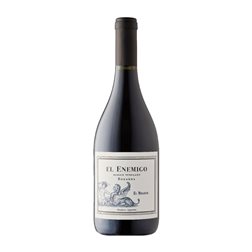 Aleanna El Enemigo El Mirador Bonarda Mendoza Single Vineyard — Parcela Única 75 cl Vino Tinto