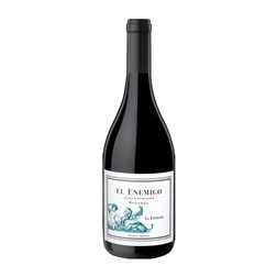 Aleanna El Enemigo La Esperanza Bonarda Mendoza Single Vineyard — Parcela Única 75 cl Vino Tinto