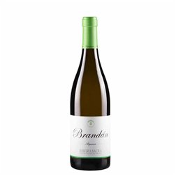 Algueira Brandán Godello 2025 75cl