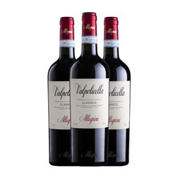 Allegrini Valpolicella Classico — Clásico 75 cl Vino Tinto (Caja de 3 unidades)