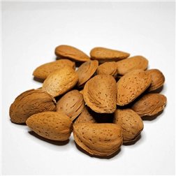 ECO ALMOND   Largueta Variety