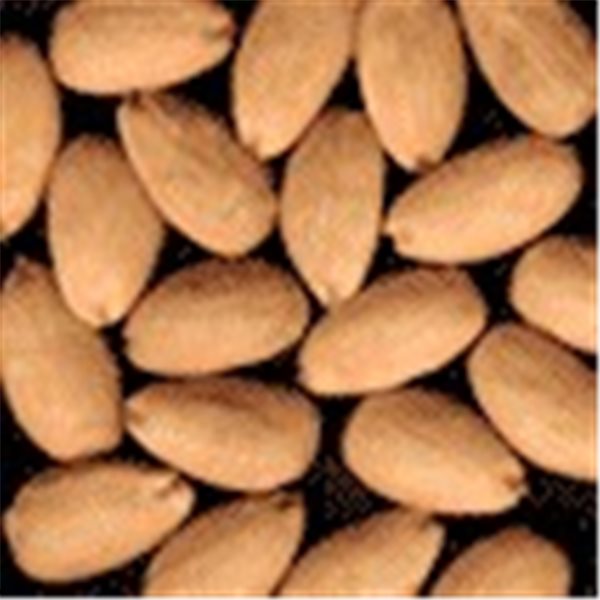 ALMENDRA FRITA 150G.-detalle