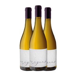 Alsina Sardà 1894 Orígens Xarel·lo Penedès 75 cl Vino Blanco (Caja de 3 unidades)