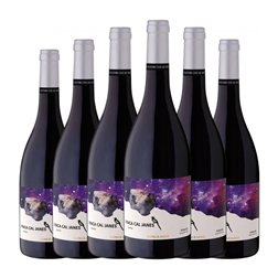 Alsina & Sardà Cal Janés Merlot Seco Penedès Vino de Finca 75 cl Vino Tinto (Caja de 6 unidades)