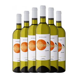 Alsina & Sardà Cromatic Floral Seco Penedès 75 cl Vino Blanco (Caja de 6 unidades)
