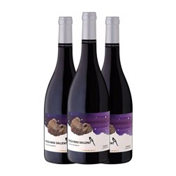 Alsina & Sardà Mas Sallent Cabernet Sauvignon Seco Penedès Vino de Finca Eco — Ecológico 75 cl Vino Tinto (Caja de 3 unidades)