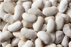 Haricot Plancheta Extra 1 kg - Légumineuse Nationale de León