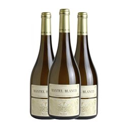 Álvarez y Díez Mantel Verdejo Rueda Fermentado en Barrica 75 cl Vino Blanco (Caja de 3 unidades)