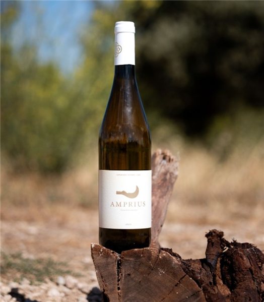 Amprius Gewürztraminer · 6 pcs-detalle