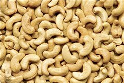 Anacardos Crudos Gordo, Bolsa de 500g