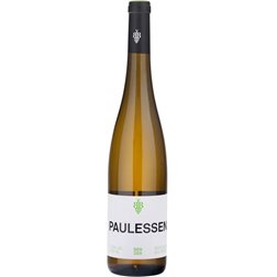 Andreas Bender Paulessen Zenit Riesling Trocken 2020