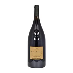 Antoine Sanzay Les Echalas Cabernet Franc Saumur-Champigny Botella Magnum 1,5 L Vino Tinto