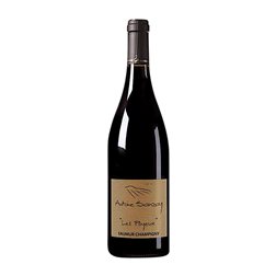 Antoine Sanzay Les Poyeux Cabernet Franc Saumur-Champigny Botella Magnum 1,5 L Vino Tinto