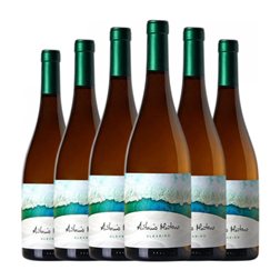 Antonio Montero Albariño Ribeiro Joven 75 cl Vino Blanco (Caja de 6 unidades)