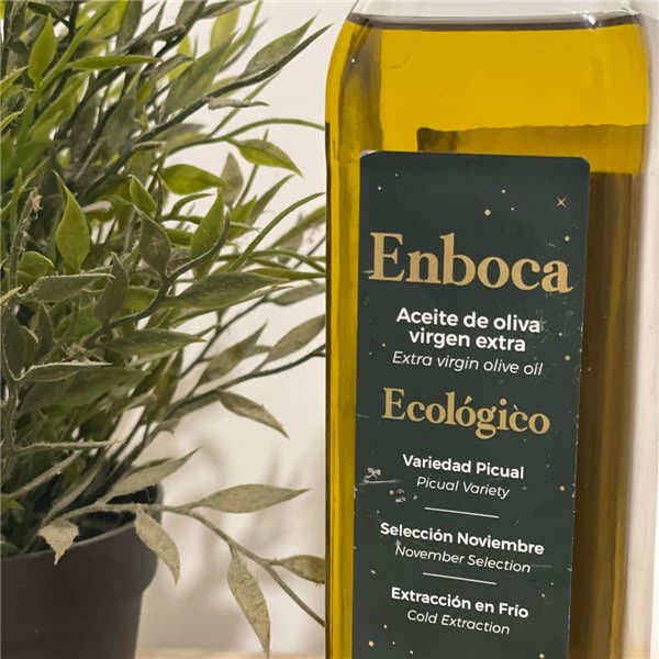 Cosecha selección 24/25-trasera