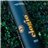 Premium Early Harvest Picual Olive Oil, Elogio-izquierda