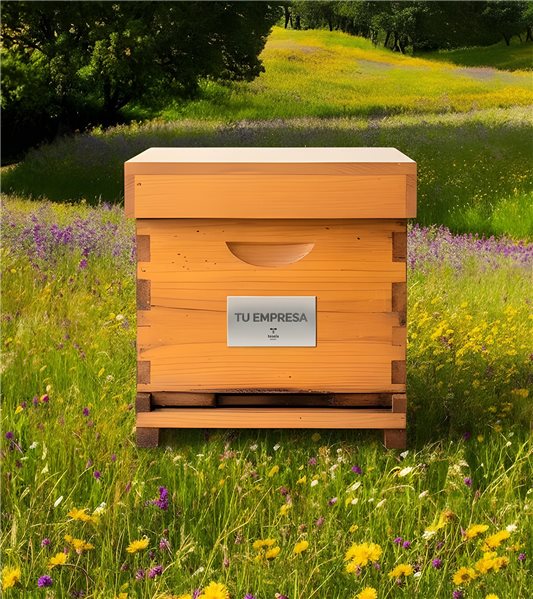 Apadrina una Colmena con Tesela Natura-detalle