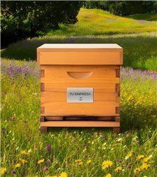 Apadrina una Colmena con Tesela Natura