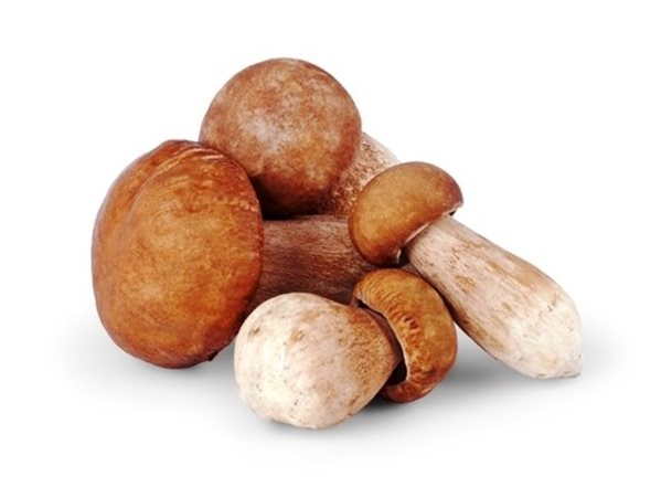 Gourmet appetizer with Cèpes mushrooms-izquierda