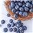 Mountain Blueberry-lateral