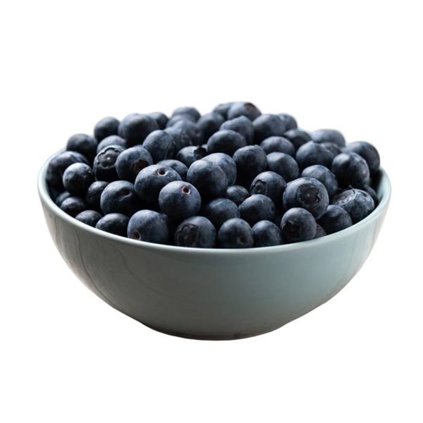 Mountain Blueberry-trasera