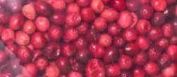 Arándanos Rojos Liofilizados