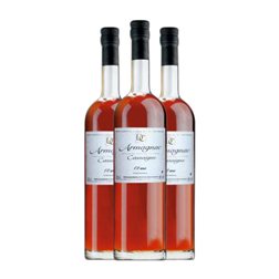 Armagnac Château de Cassaigne Ariane Bas Armagnac 12 Años Botella Medium 50 cl (Caja de 3 unidades)