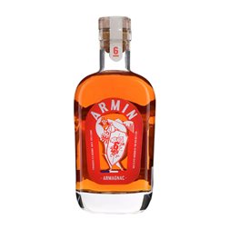 Armagnac Delord Armin 6 Años Botella Medium 50 cl
