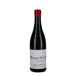 Arnaud Baillot Bourgogne Côte d’Or Pinot Noir 2023. 

(Note que en este caso, el nombre del vino y la información se mantienen igual en francés, ya que se trata de un nombre propio y una designación específica de vino.)